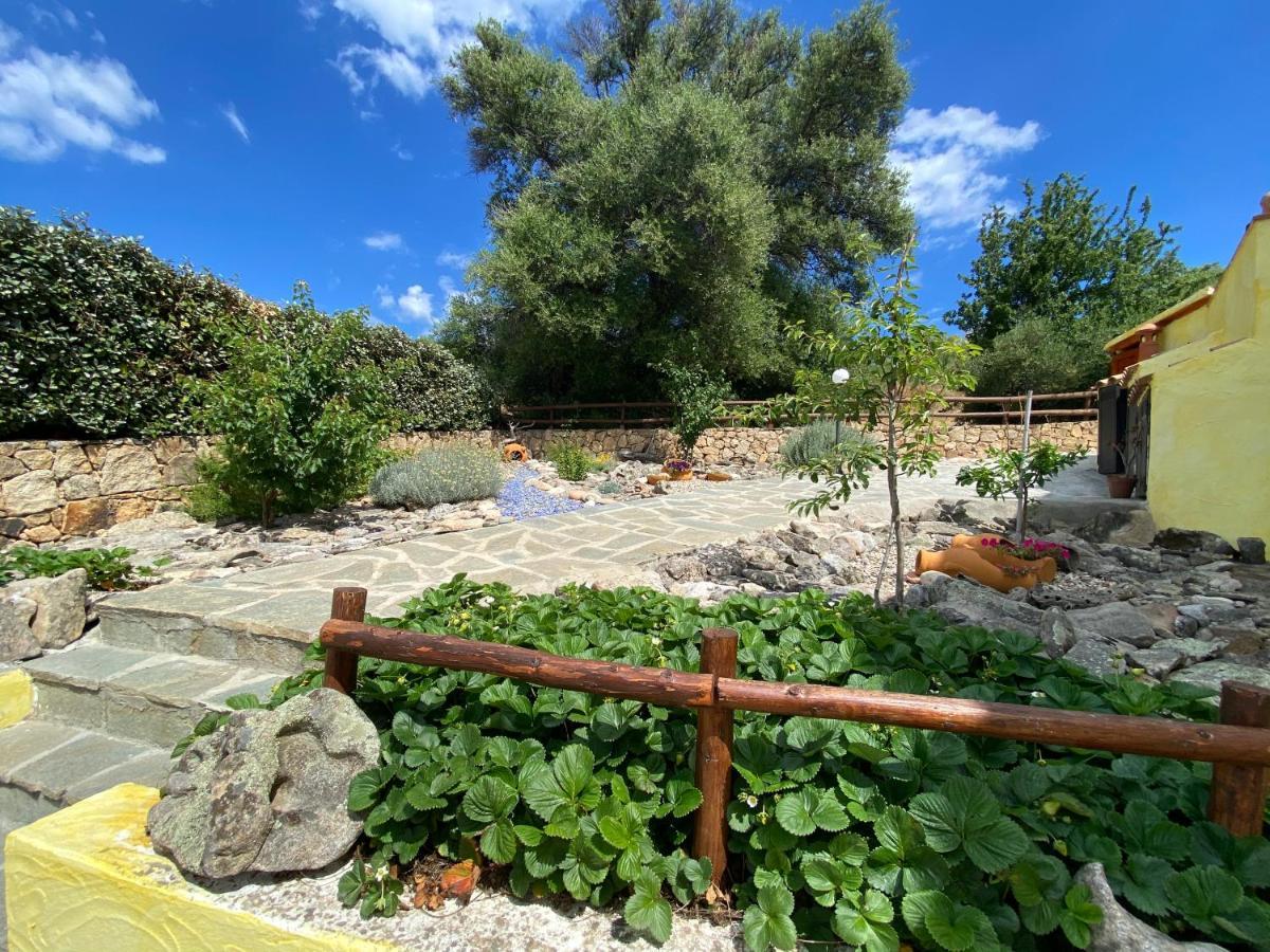 Villa Peonia Budoni Buitenkant foto