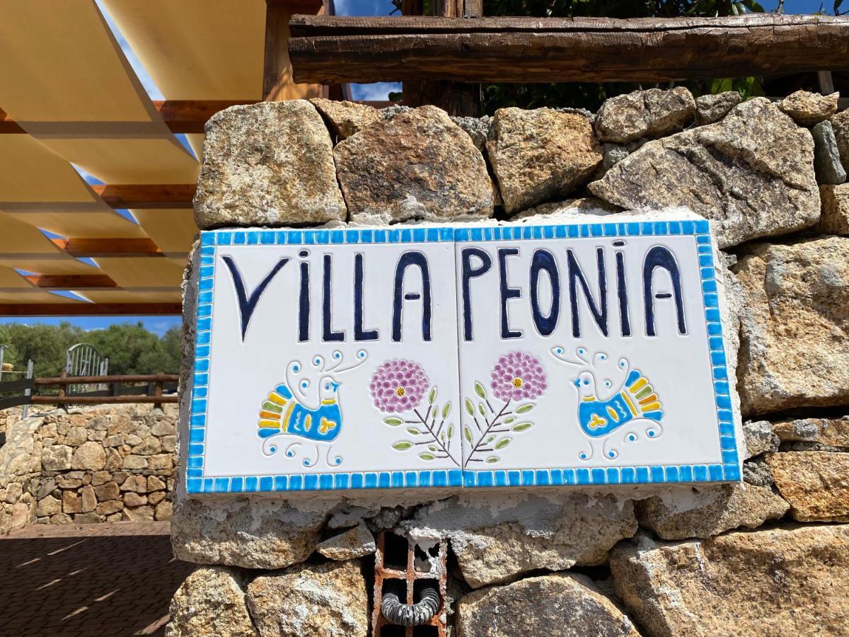 Villa Peonia Budoni Buitenkant foto
